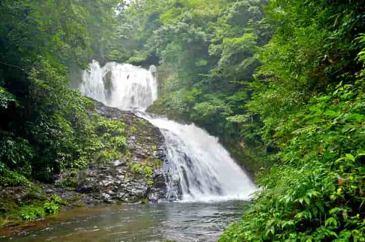 ������E�S�i